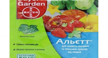 Pervikur, infinito, allett, hom a bordeaux liquid - fungicidy na okurky